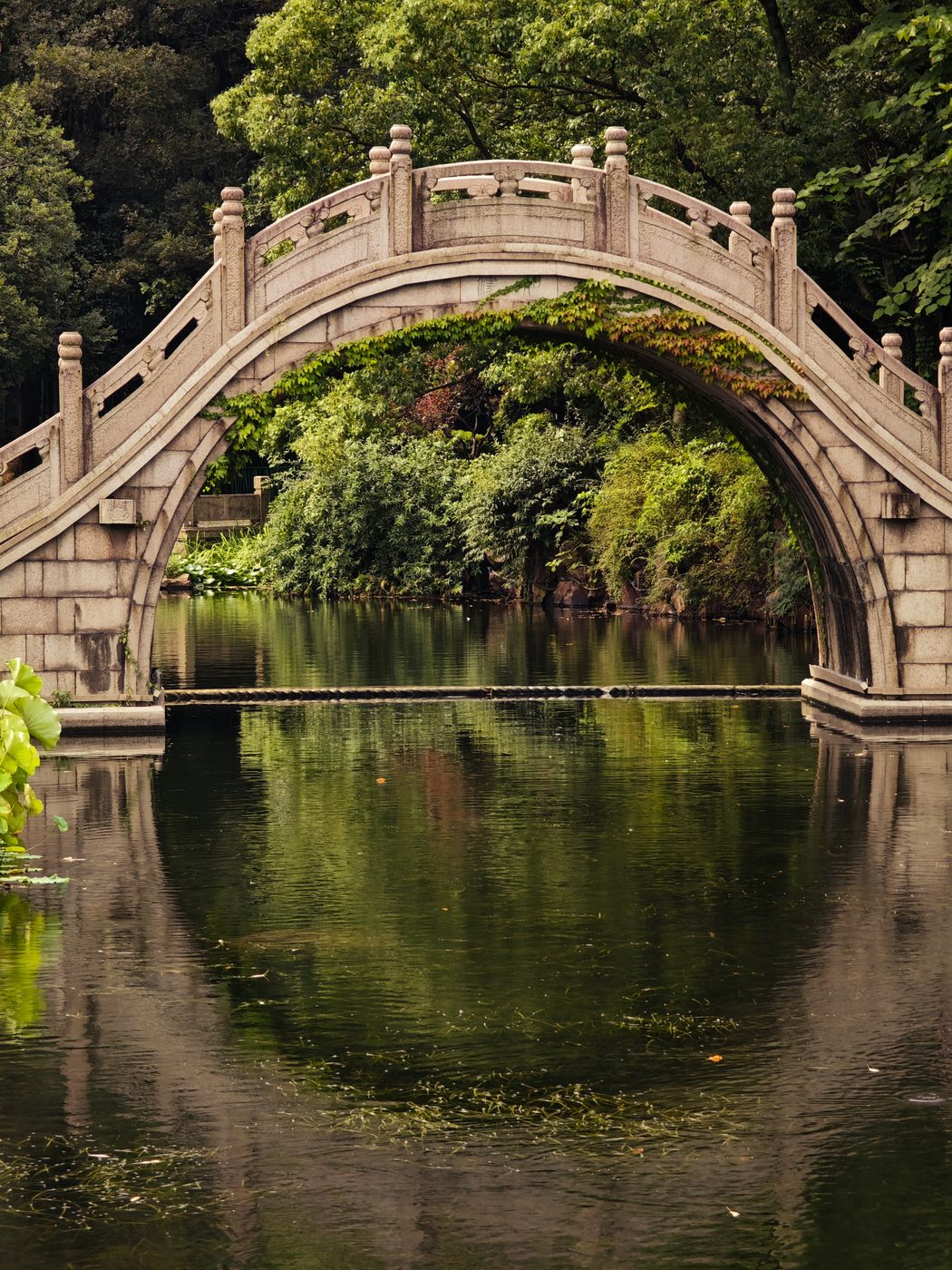 Stone arch bridge over green water