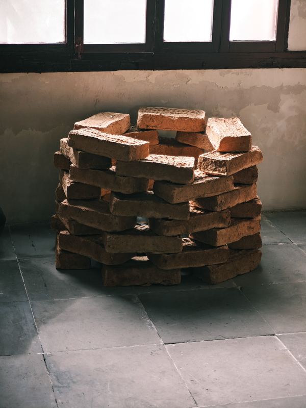 Coiled Wood