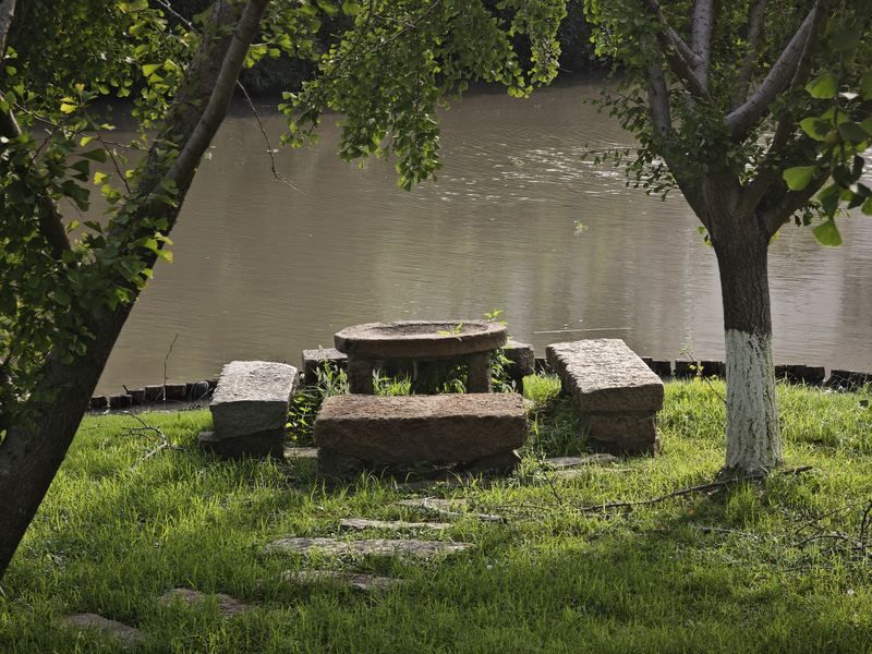 Chair Under the Tree