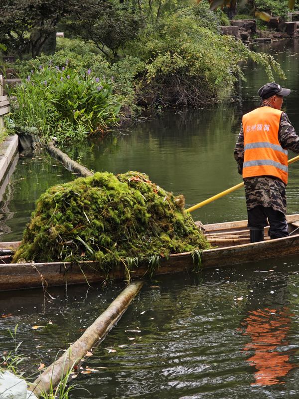 Clearing the Pond