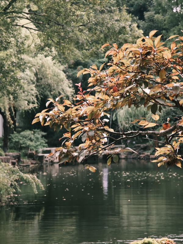 Autumn Arrives Early