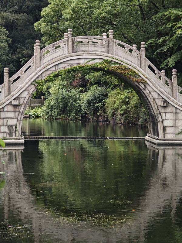 Bridge Reflection