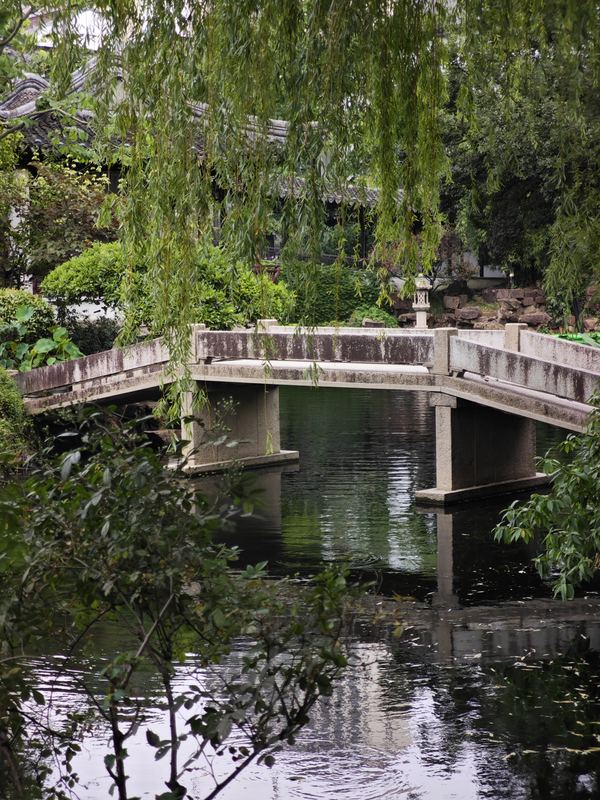 Bridge in the Shade