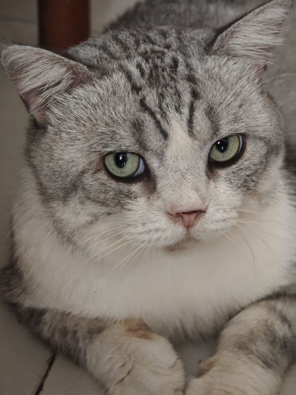 Looking at the Camera